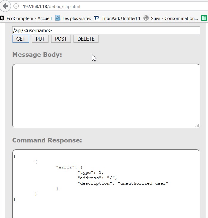 API Debug tool - Mozilla Firefox.jpg