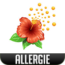 Allergie.png