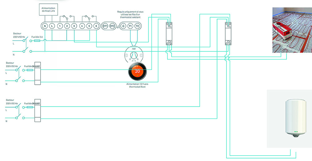 NEST CONNECTION SM.jpg